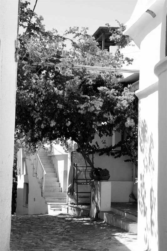 skyros-3-OPT