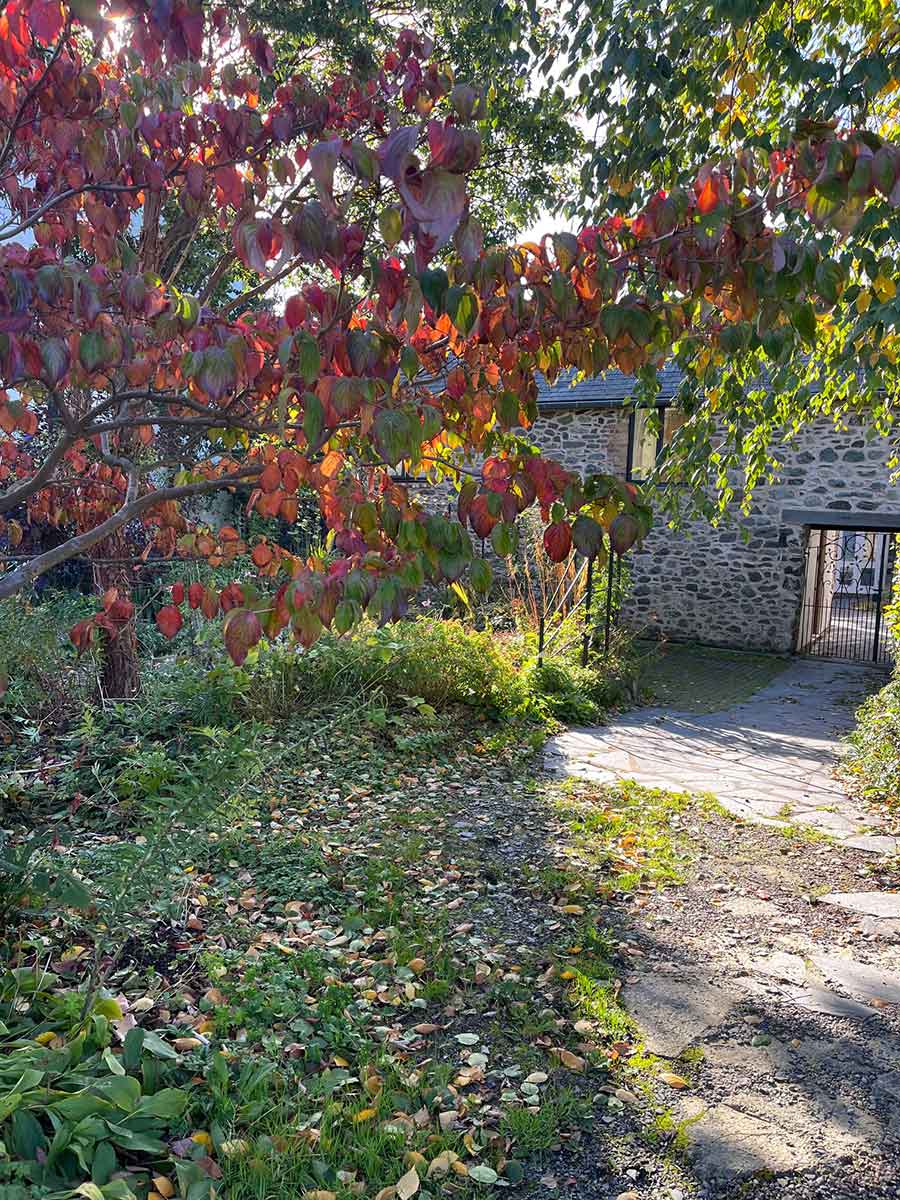 OWN-Wales-House-2